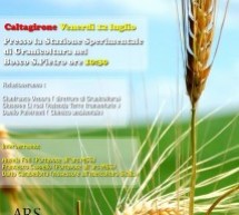 Grani duri siciliani: un incontro a Caltagirone per riscoprirli e un seminario per decidere il futuro dell’agricoltura in Europa