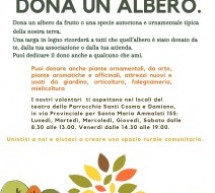 “Dona un albero” alla Pro Loco Acireale: al via la campagna di donazione