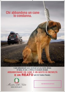 ad_acireale_si_promuove_l_adozione_dei_cani_abbandonati