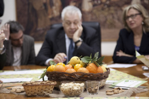 nivarata_straordinario_progetto_di_marketing_12